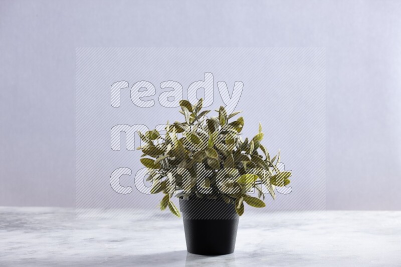Green artificial plant in black pot on grey marble background