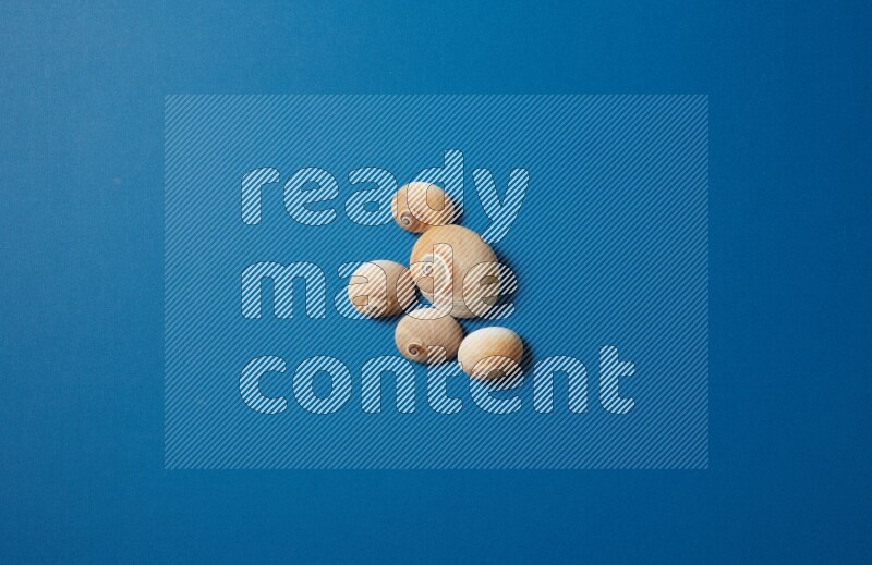top view shot of seashells arrangement on blue background