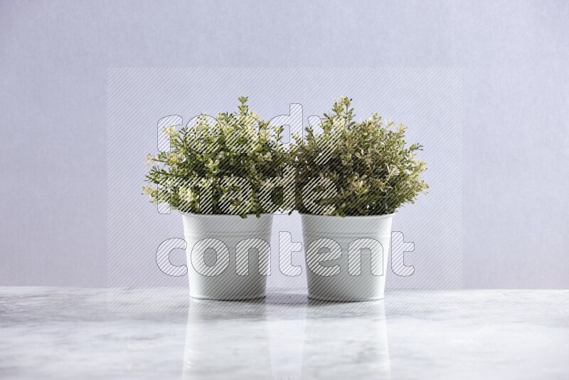 Two artificial plants in white pots on grey marble background