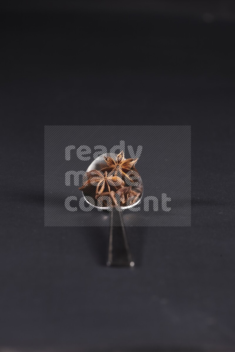 Star Anise in a metal spoon on black flooring
