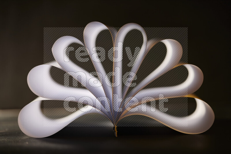 An abstract art piece displaying smooth curves in grey gradients created by colored light