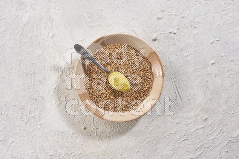 A beige pottery plate filled with mustard seeds with a metal spoon full of mustard paste in it on a textured white flooring