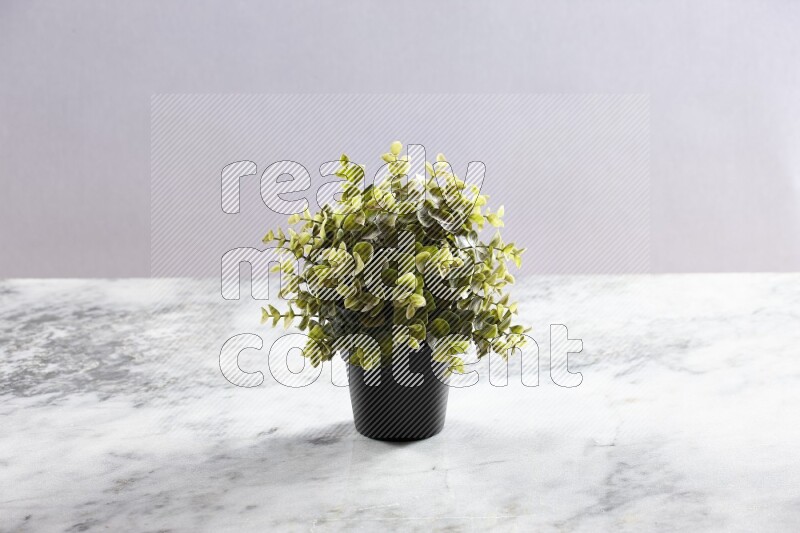 Green artificial plant in black pot on grey marble background