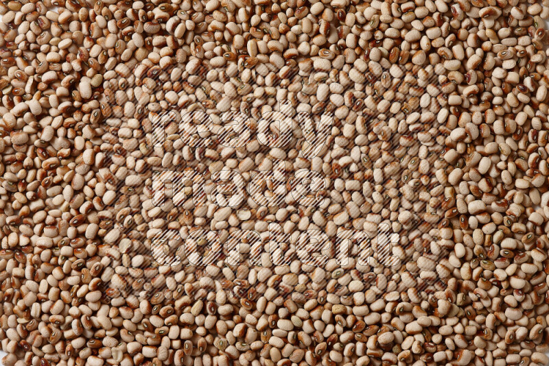 Black-eyed peas on white background
