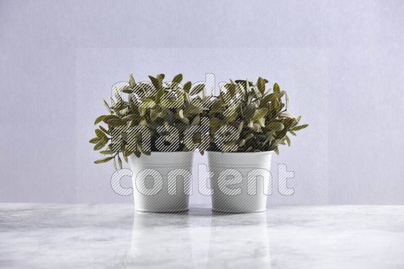 Two green artificial plants in white pot on grey marble background