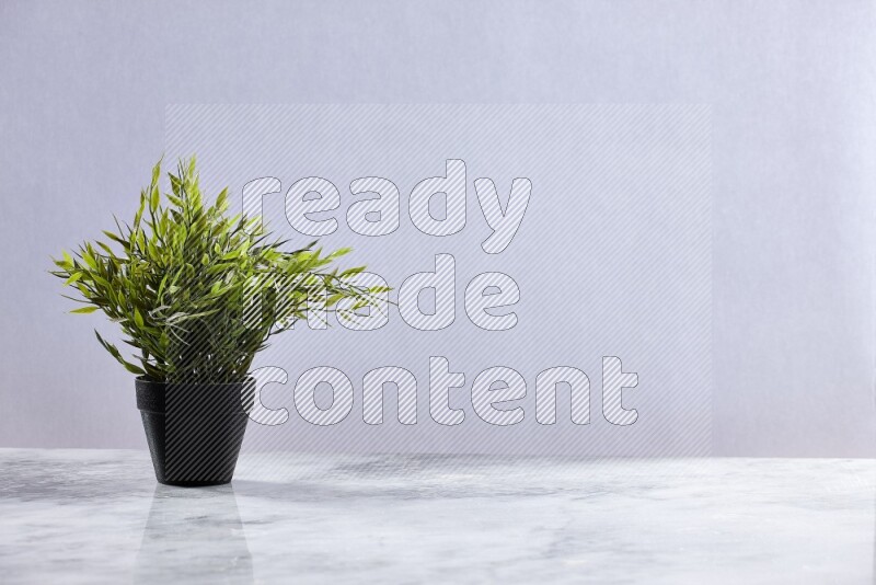 Green artificial plant in black pot on grey marble background