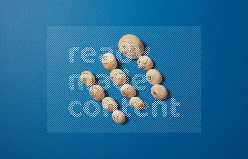 top view shot of seashells arrangement on blue background