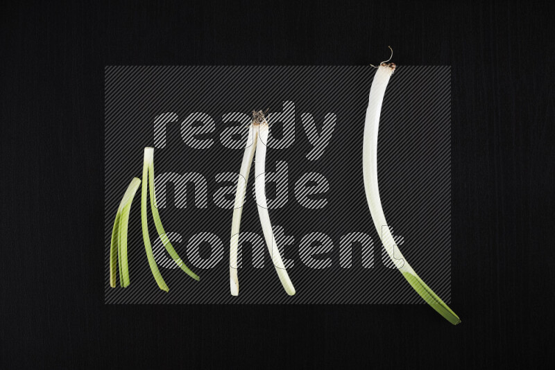 The growth stages of green onions all on black background