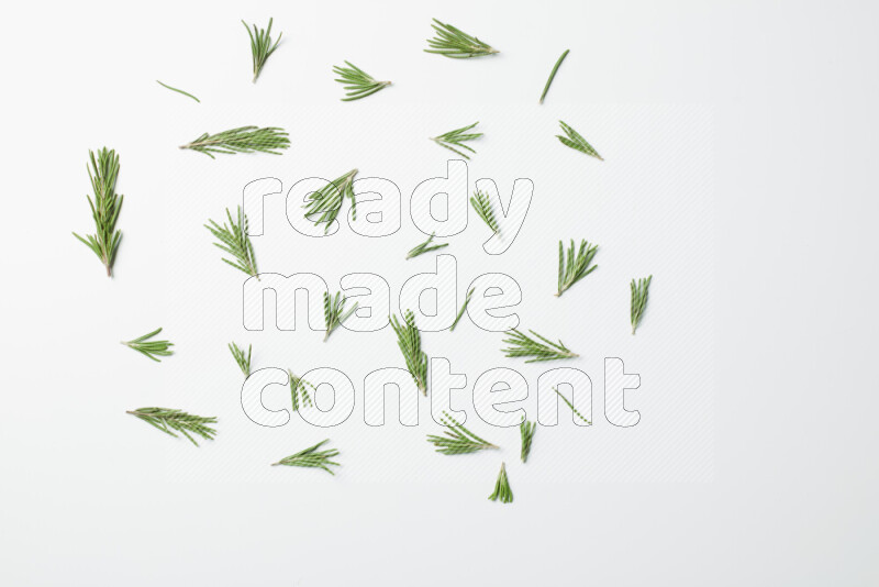 Multi fresh rosemary sprigs on white background