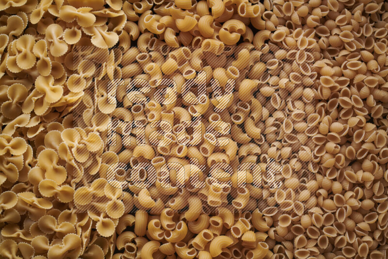 3 types of pasta filling the frame