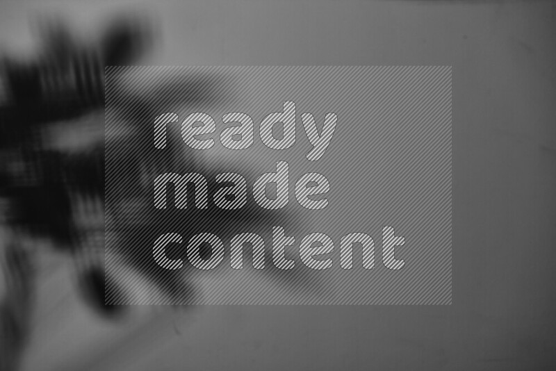 A delicate gobo light projects the silhouette of plant leaves onto a smooth surface