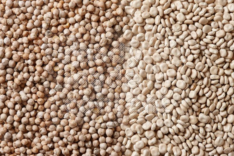 Lupin Beans with chickpeas on white background