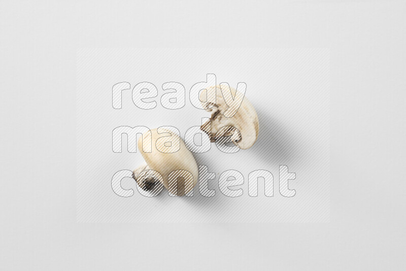 Mushrooms on white background