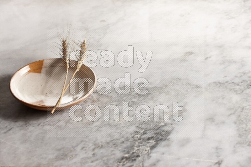 Wheat stalks on multicolored pottery plate on grey marble background
