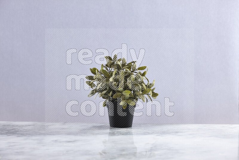 Green artificial plant in black pot on grey marble background