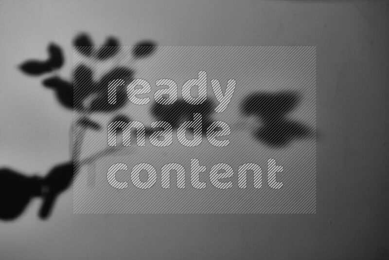 يظهر ضوء غوبو خافت ظلال أوراق نبات تسقط على سطح ناعم