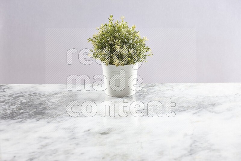 Artificial plant in white pot on grey marble background