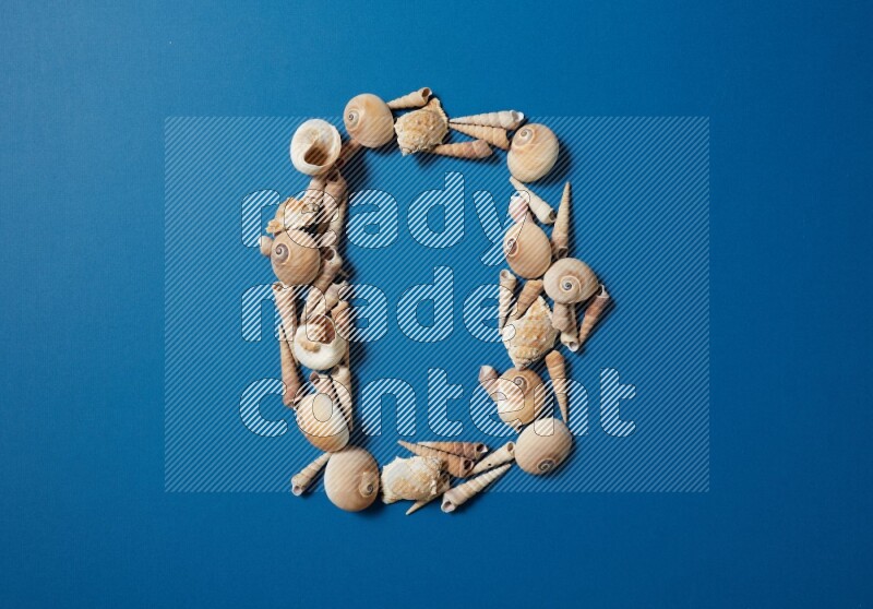 top view shot of seashells arrangement on blue background
