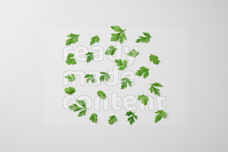 Scattered fresh parsley leaves on white background