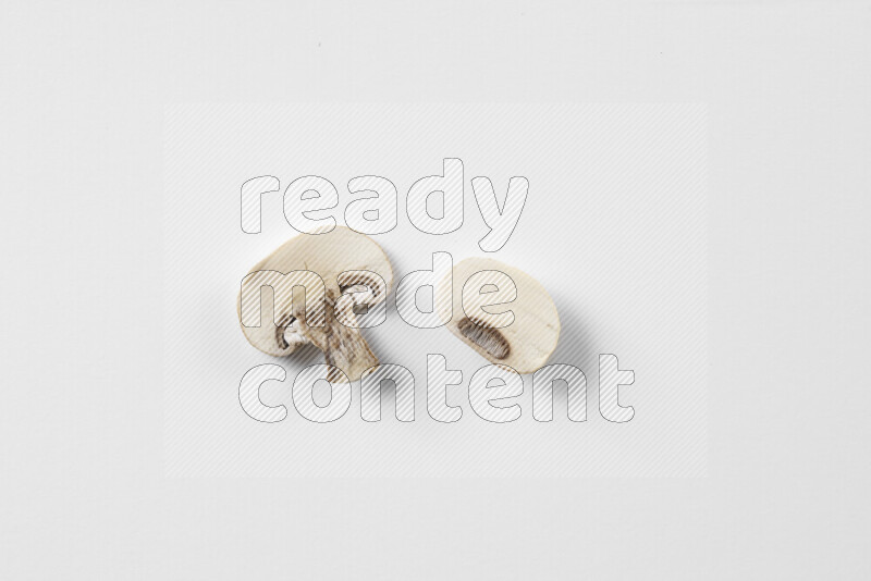Mushrooms on white background