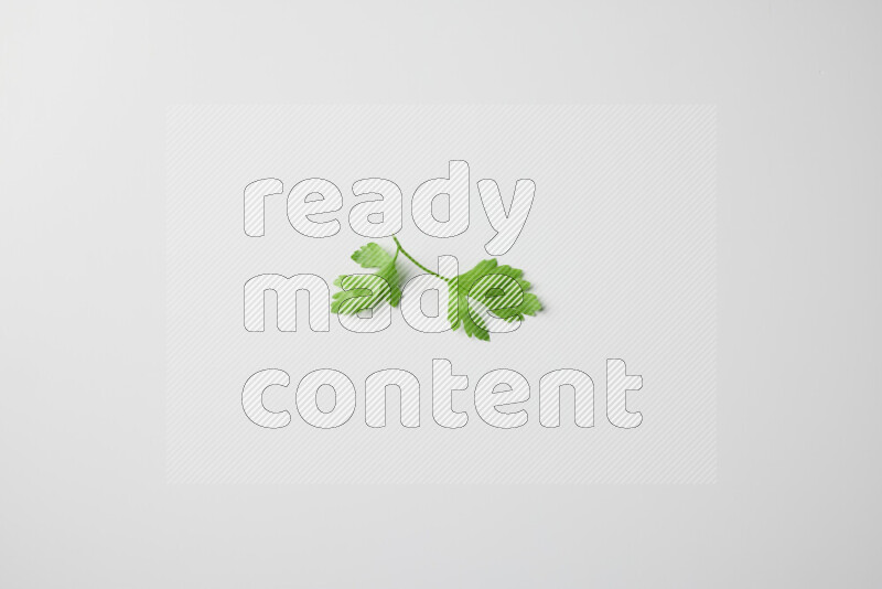 Scattered fresh parsley leaves on white background