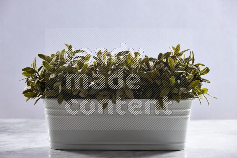 Multiple green artificial plants in white pot on grey marble background