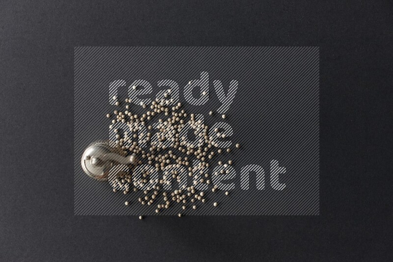 فلفل أبيض مع مطحنة فلفل معدنية على أرضية سوداء