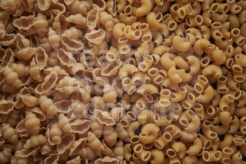 2 types of pasta filling the frame