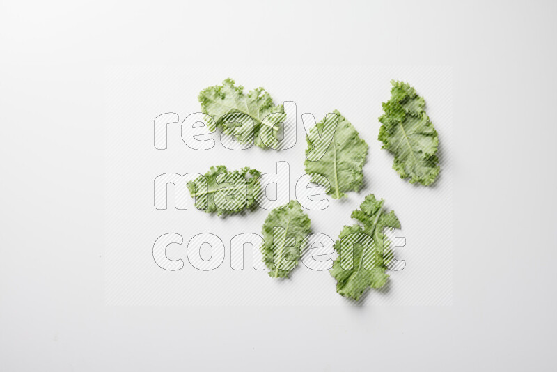 An array of kale leaves spread out on a white background