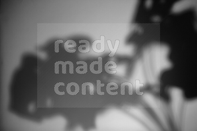 A delicate gobo light projects the silhouette of plant leaves onto a smooth surface