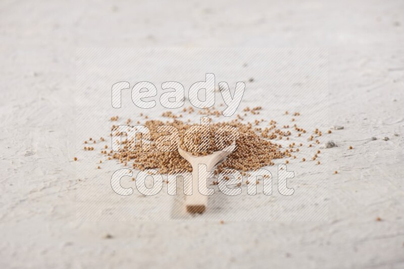 A wooden spoon full of mustard seeds on a textured white flooring
