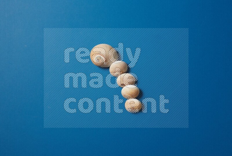 top view shot of seashells arrangement on blue background