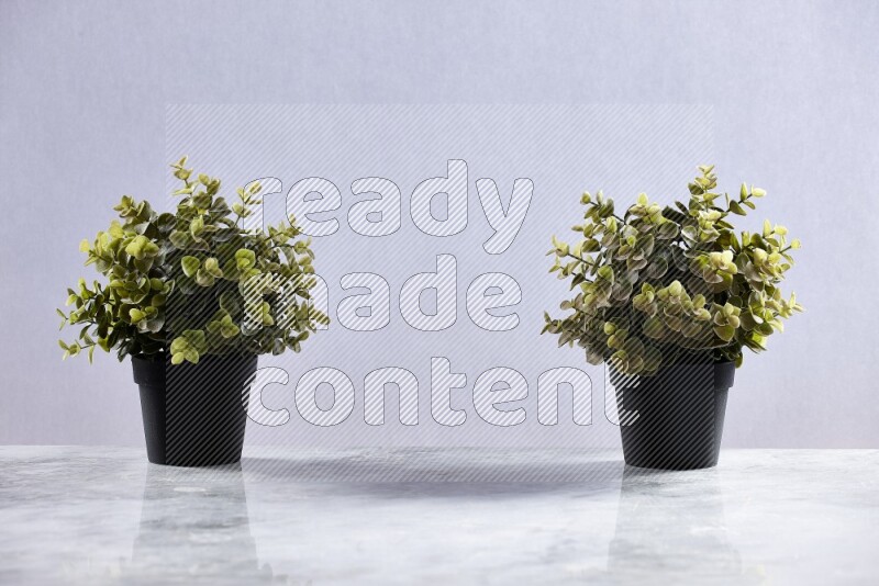 Two green artificial plants in black pots on grey marble background