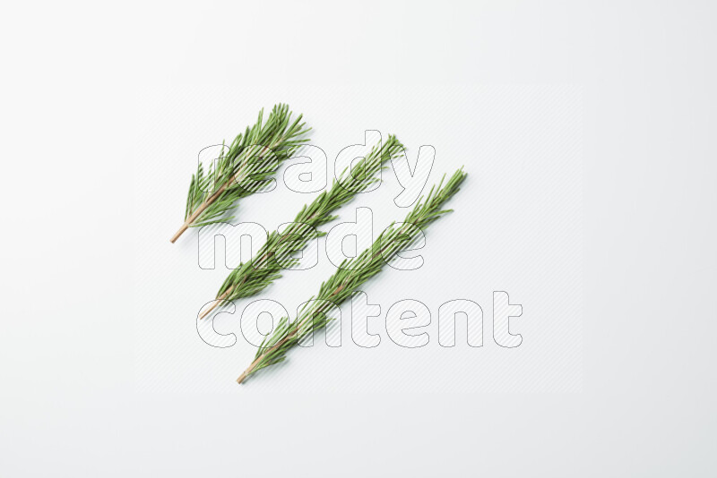 Three fresh rosemary sprigs on white background