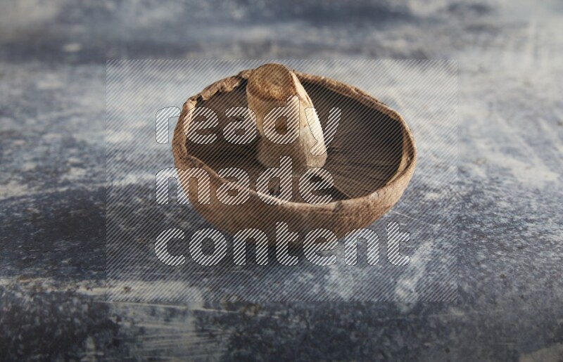 45 degre portobello mushrooms on a textured rustic blue background