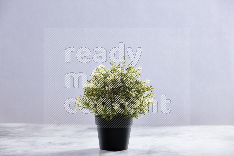 Artificial plant in black pot on grey marble background