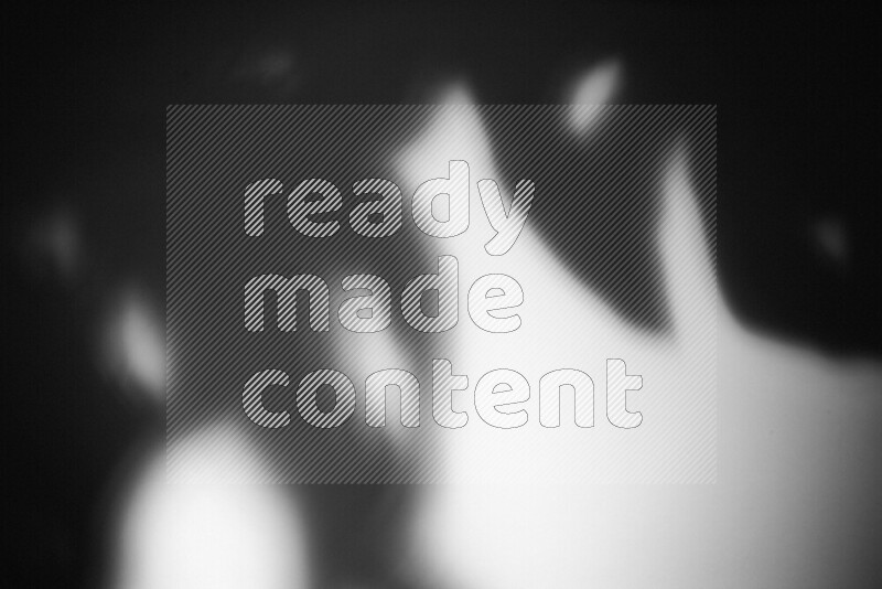 يظهر ضوء غوبو خافت ظلال أوراق نبات تسقط على سطح ناعم