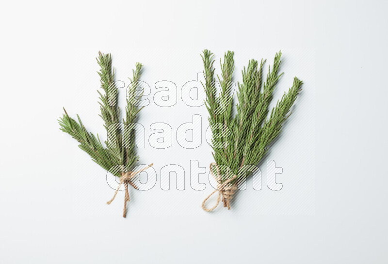 Multi fresh rosemary sprigs on white background