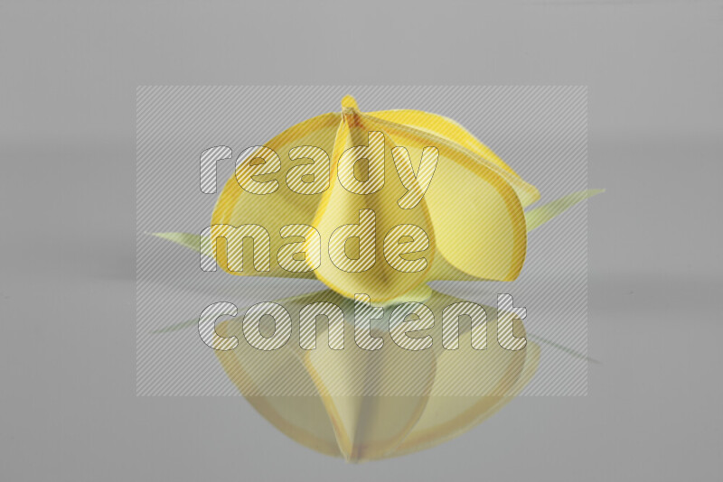 Origami flower on grey background