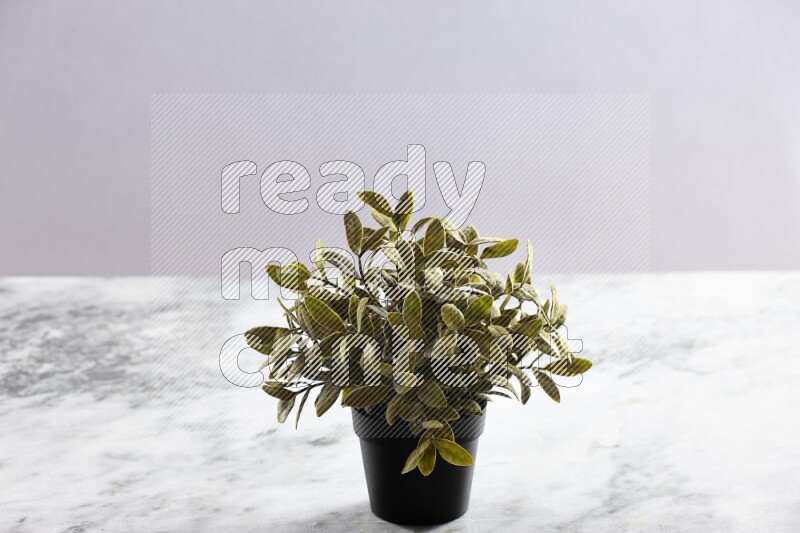 Green artificial plant in black pot on grey marble background
