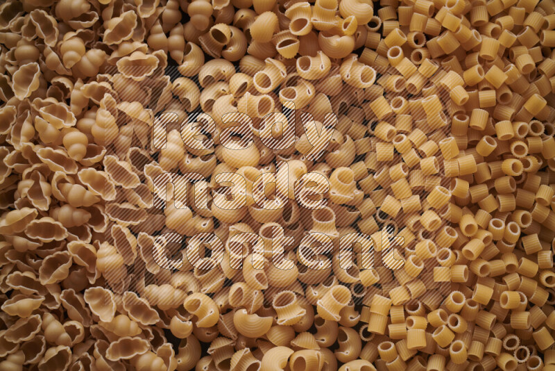 3 types of pasta filling the frame