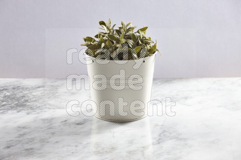 Green artificial plant in white pot on light grey marble background