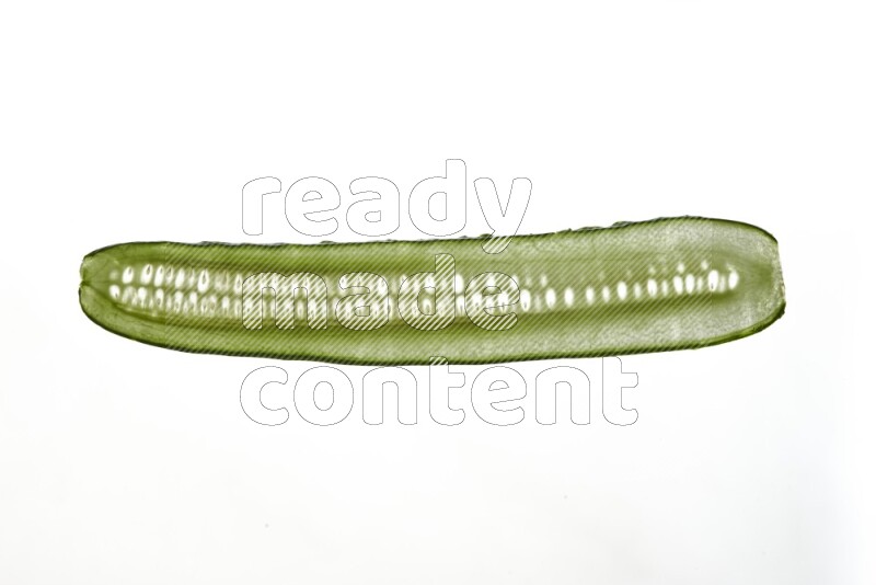 Cucumber slices on illuminated white background