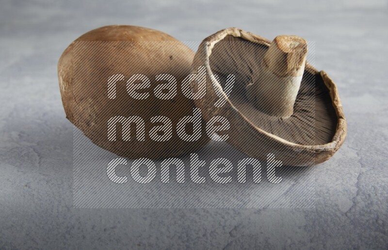 45 degre portobello mushrooms on a textured light blue background