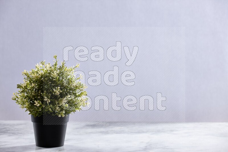 Artificial plant in black pot on grey marble background