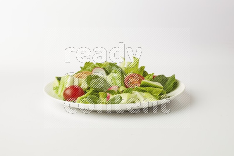 fattoush salad in a white plate direct on a white background