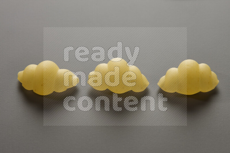 Snails pasta on grey background