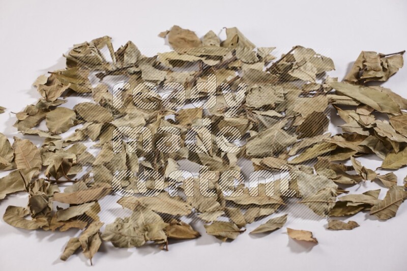 Dried bay leaves on white flooring in different angles