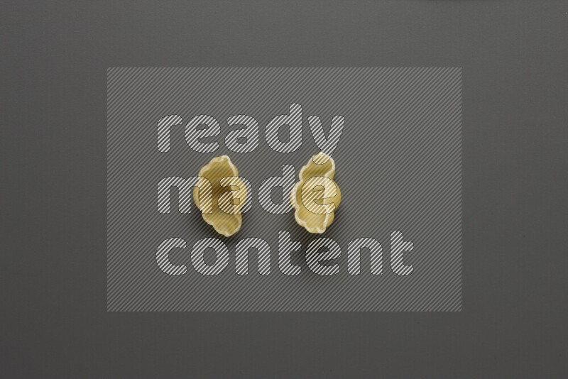 Snails pasta on grey background