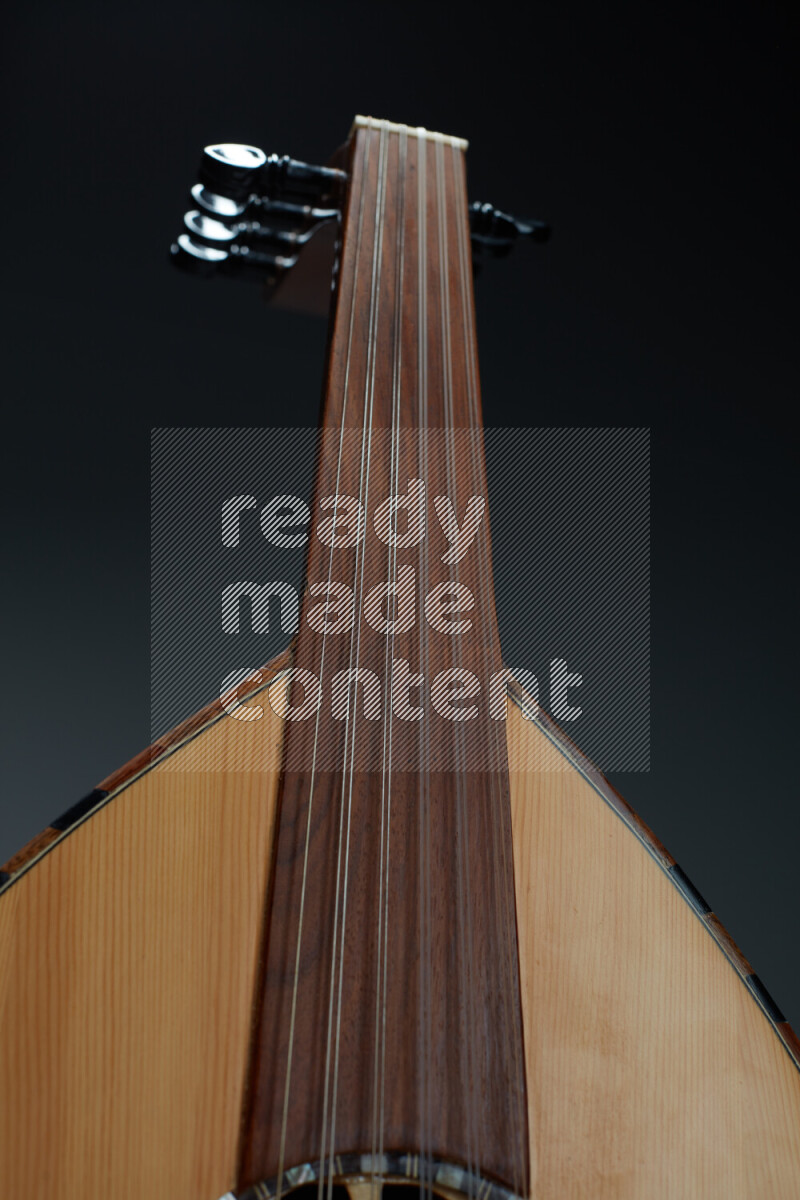 parts of a brown wooden Oud in a gray background